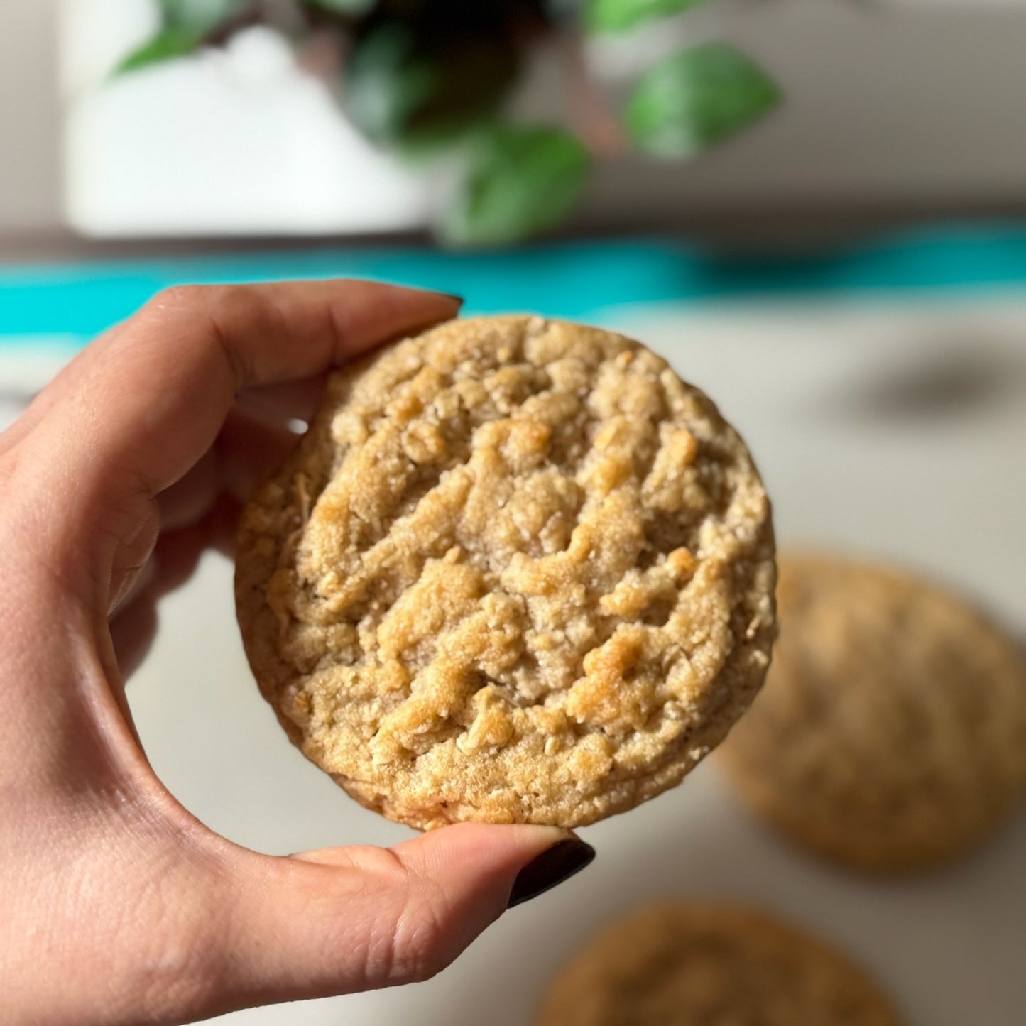 Coconut Oat Cookie - IMG_1403.jpg