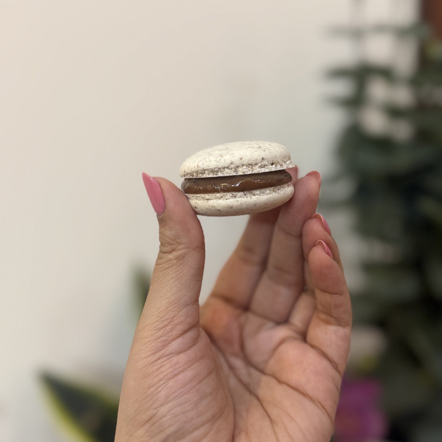 French Macarons - IMG_7864.jpg