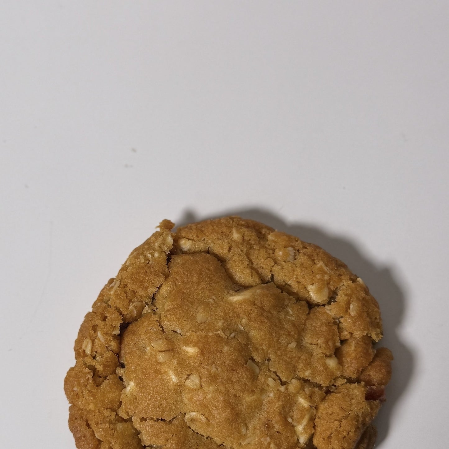 White Chocolate & Cranberry oat cookie - WC Cranberry Oat cookie3.jpg