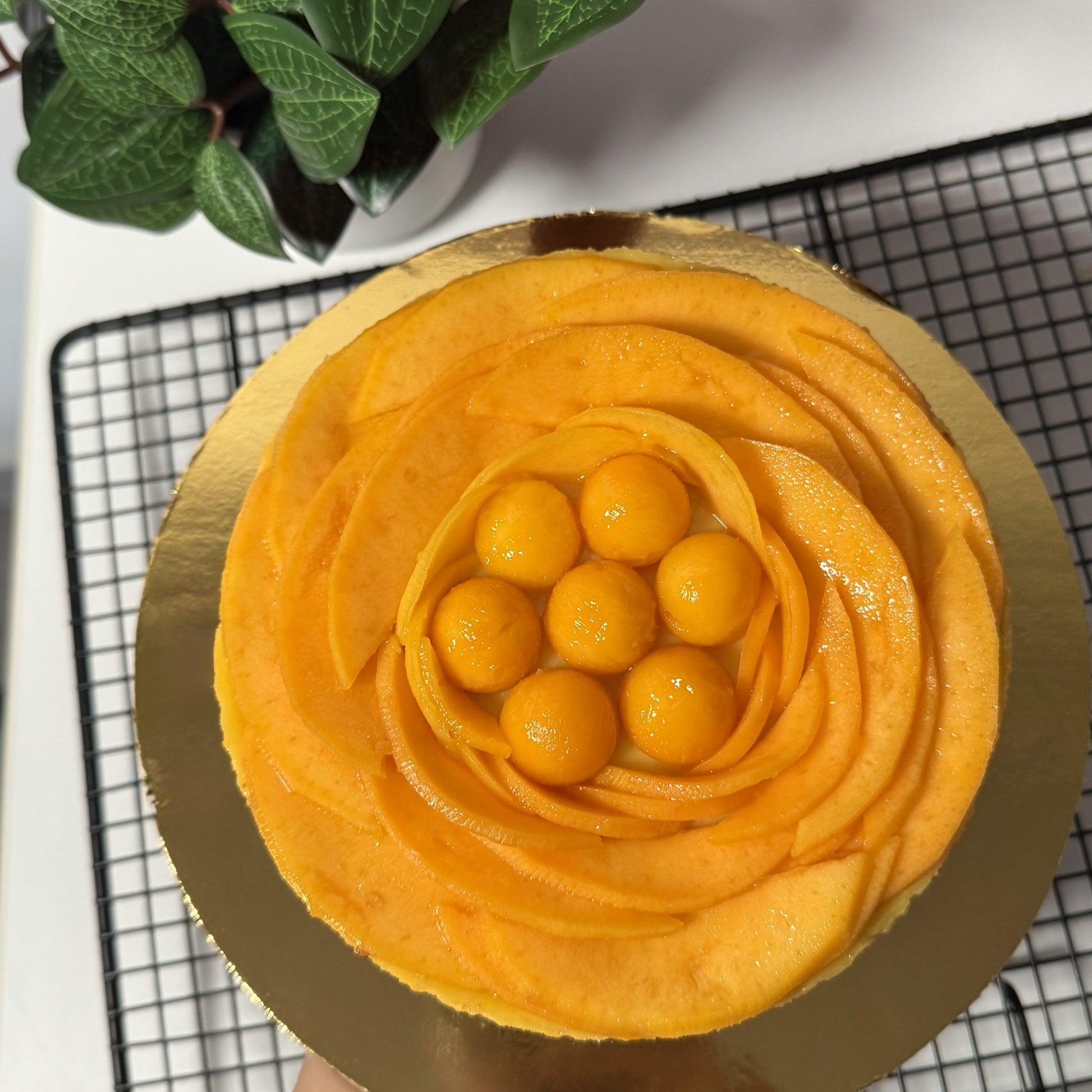Mango Cheesecake - IMG_0994.jpg