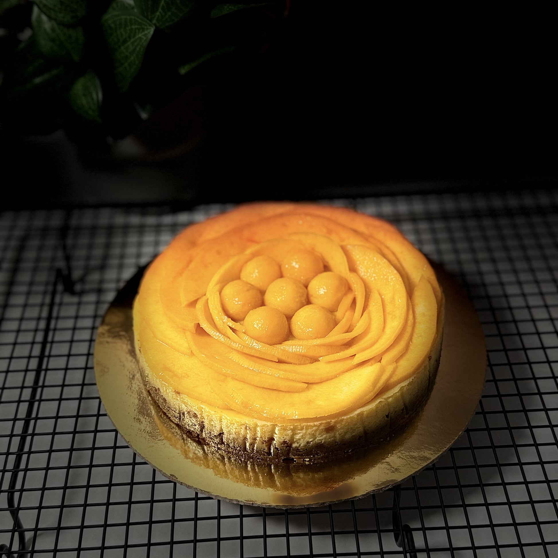 Mango Cheesecake - IMG_1001.jpg