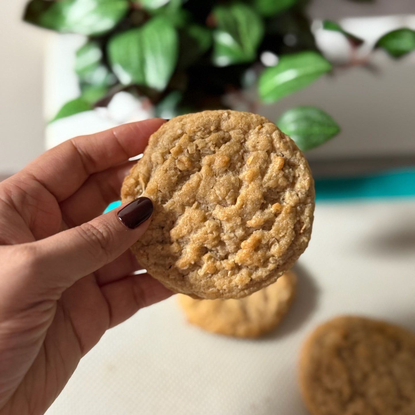 Coconut Oat Cookie - IMG_1401.jpg