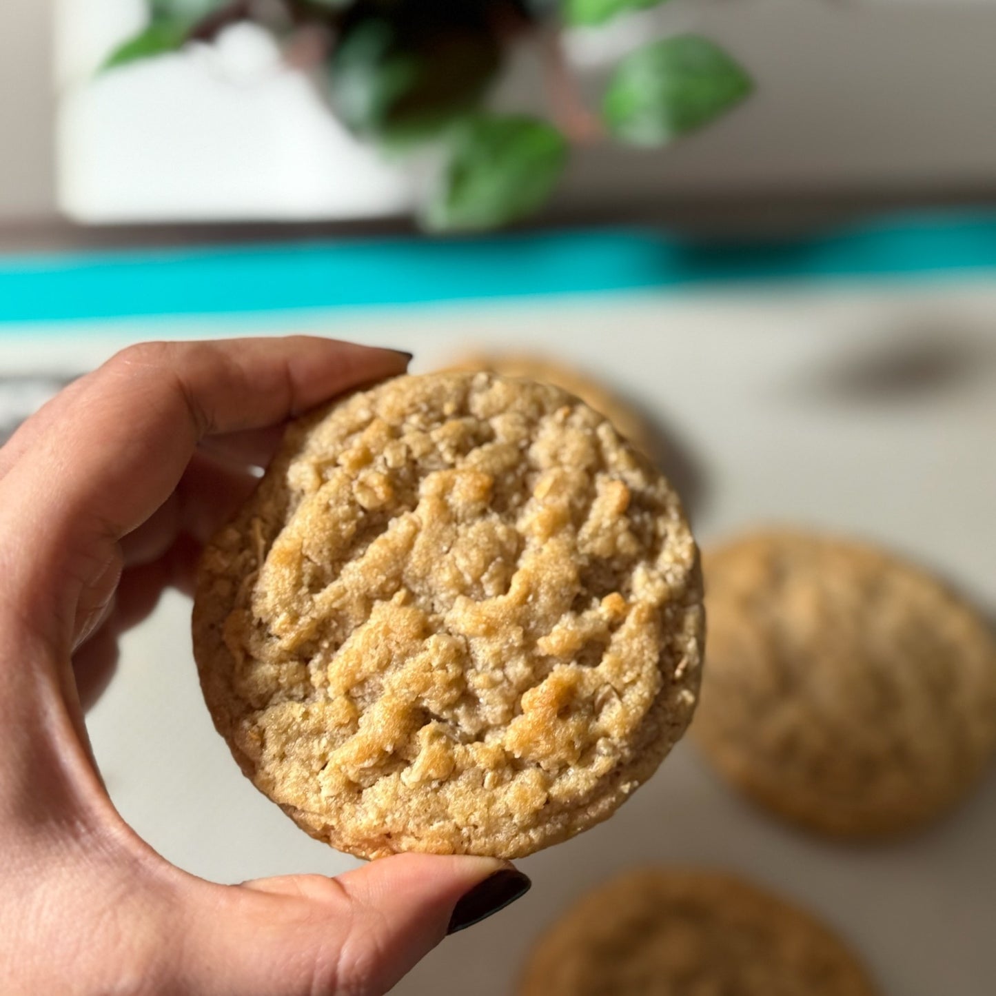 Coconut Oat Cookie - IMG_1402.jpg