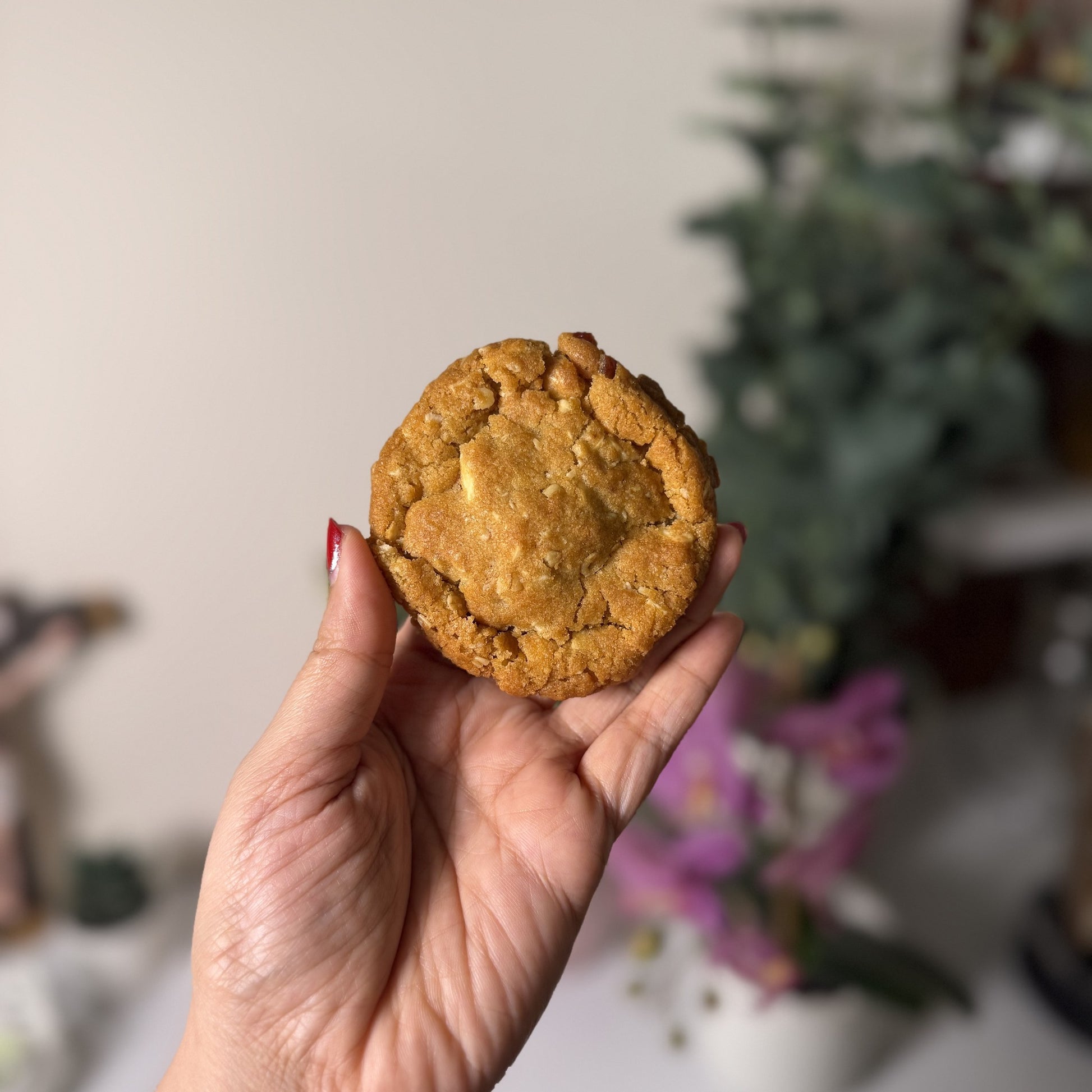 White Chocolate & Cranberry oat cookie - IMG_7041.jpg
