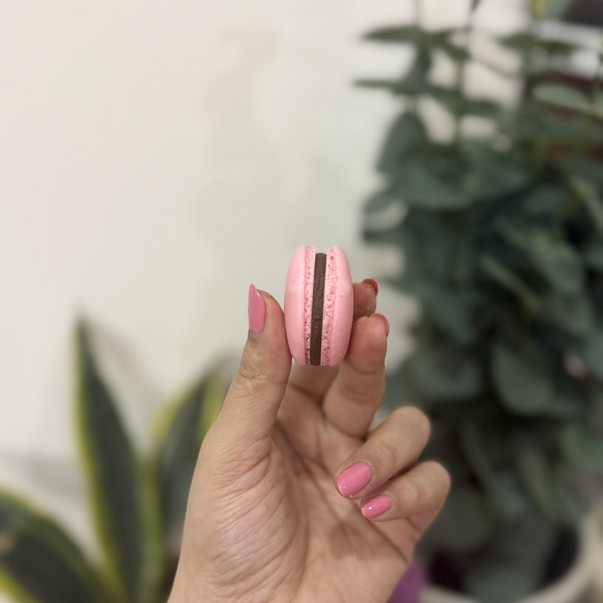 French Macarons - IMG_7819.jpg