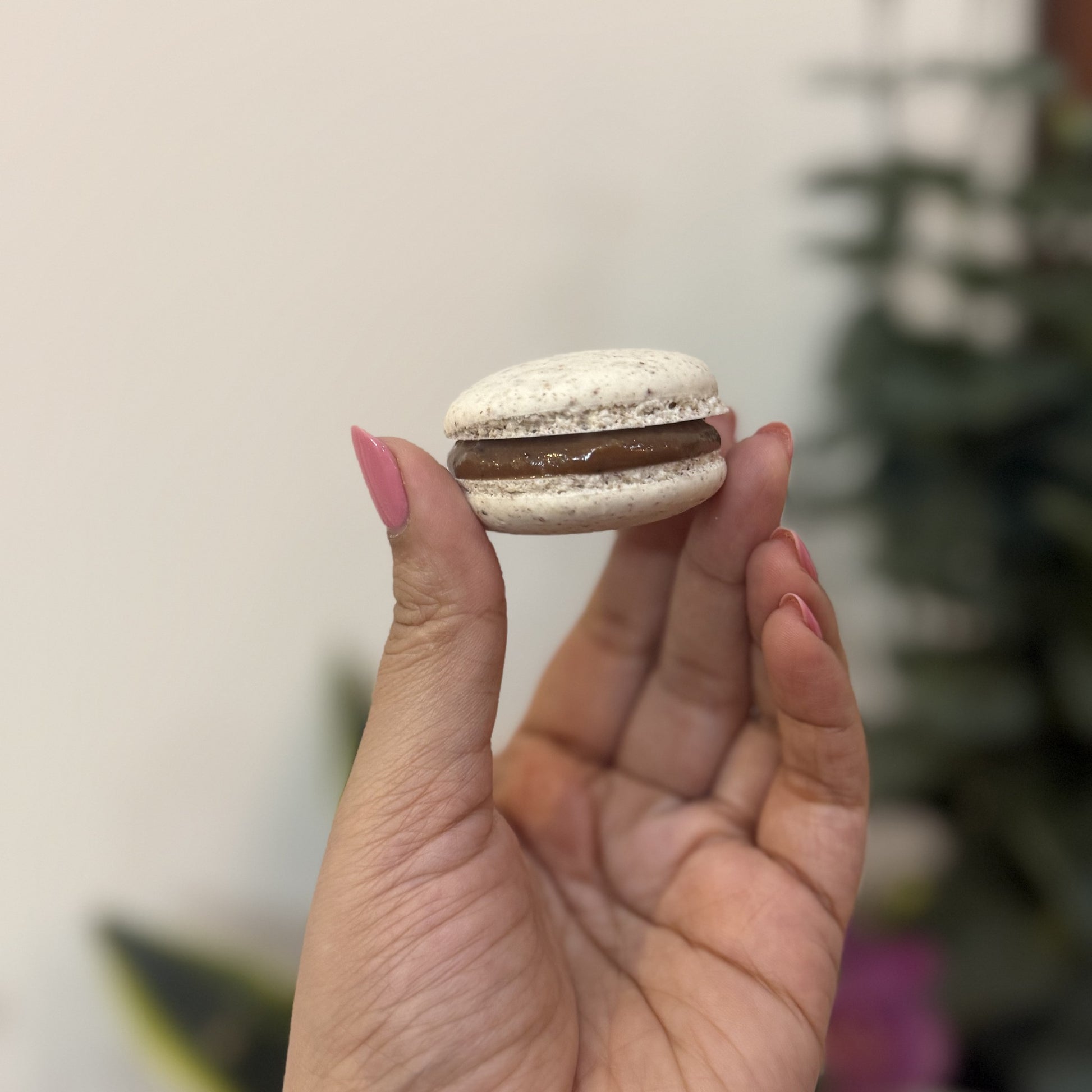 French Macarons - IMG_7864.jpg