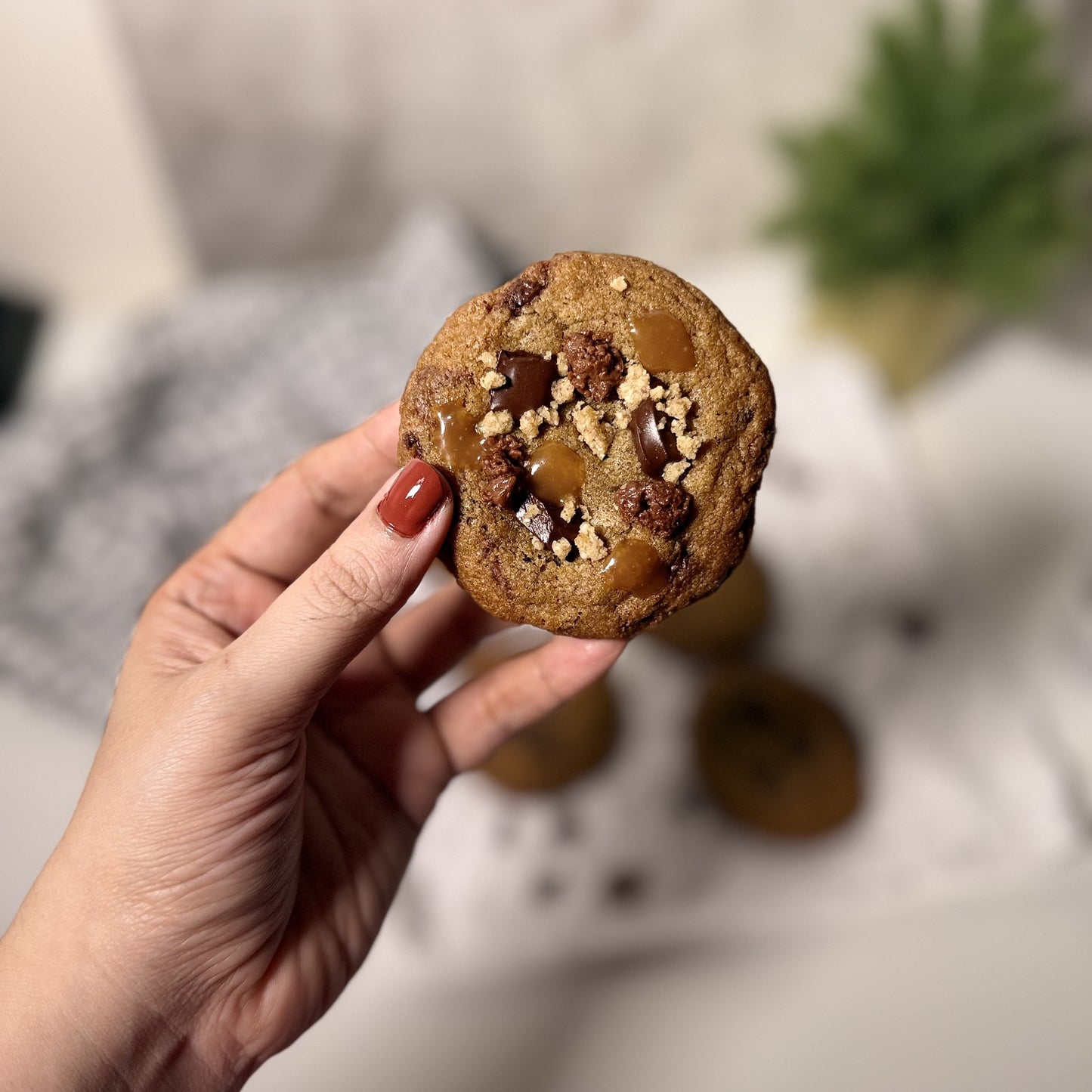 French-Style Chocolate Cookie - IMG_8613.jpg