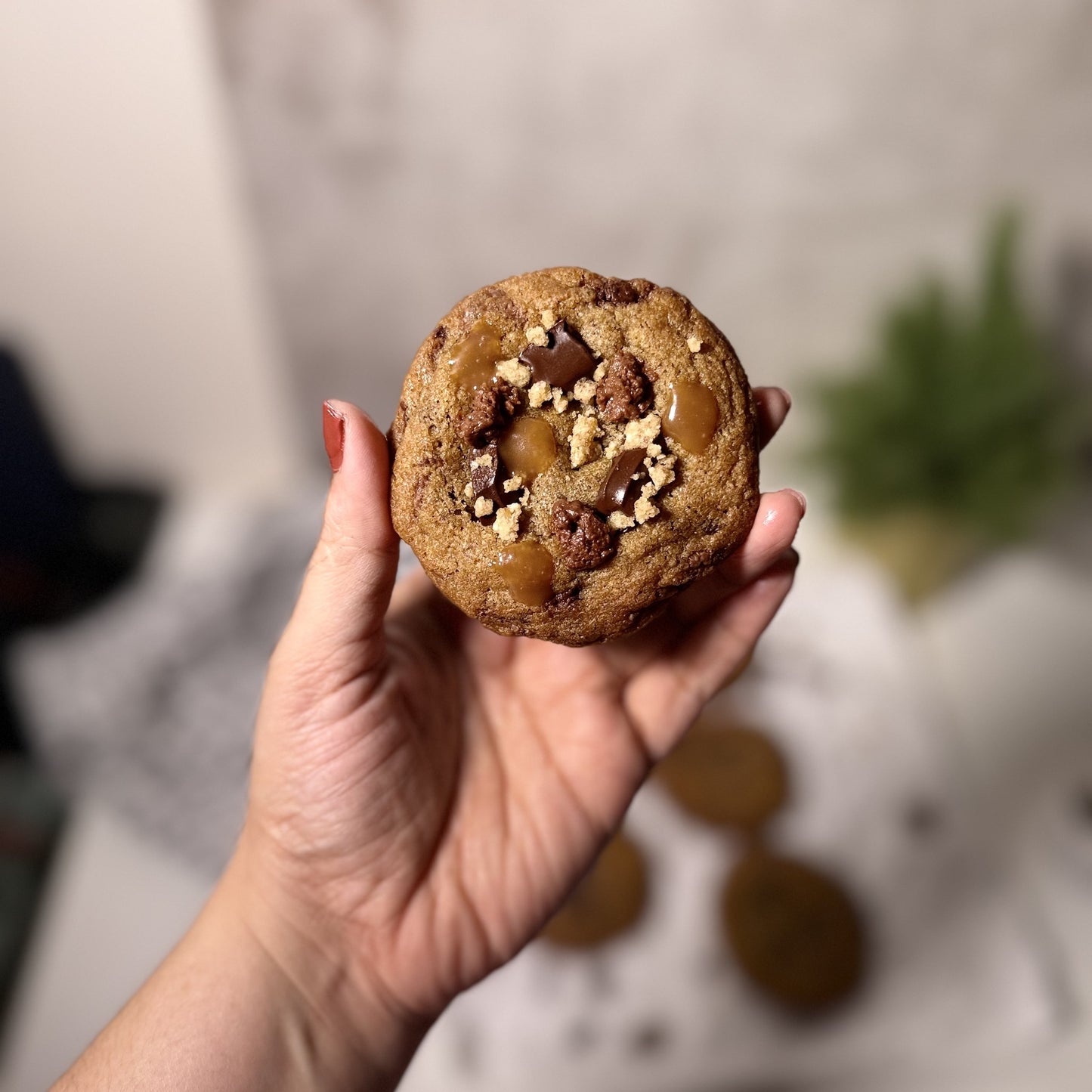 French-Style Chocolate Cookie - IMG_8616.jpg