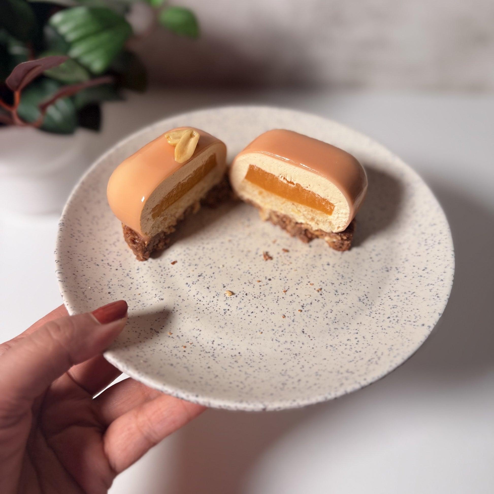 Mango-Passion Peanut Dulcey - IMG_8920.jpg