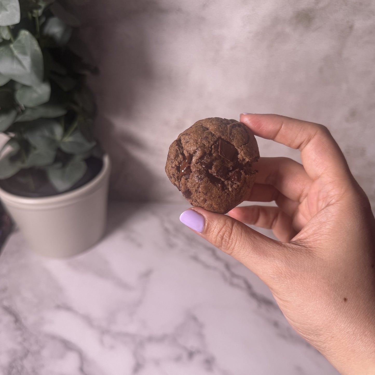 Guiltfree Chocolate Cookie - IMG_9364.jpg
