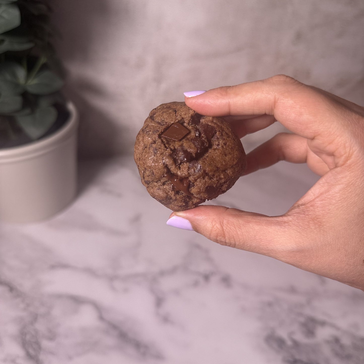 Guiltfree Chocolate Cookie - IMG_9375.jpg