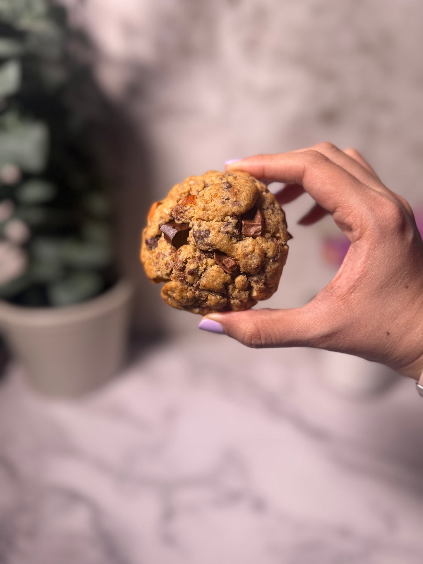 Almond Nutella Chunky NY Cookie