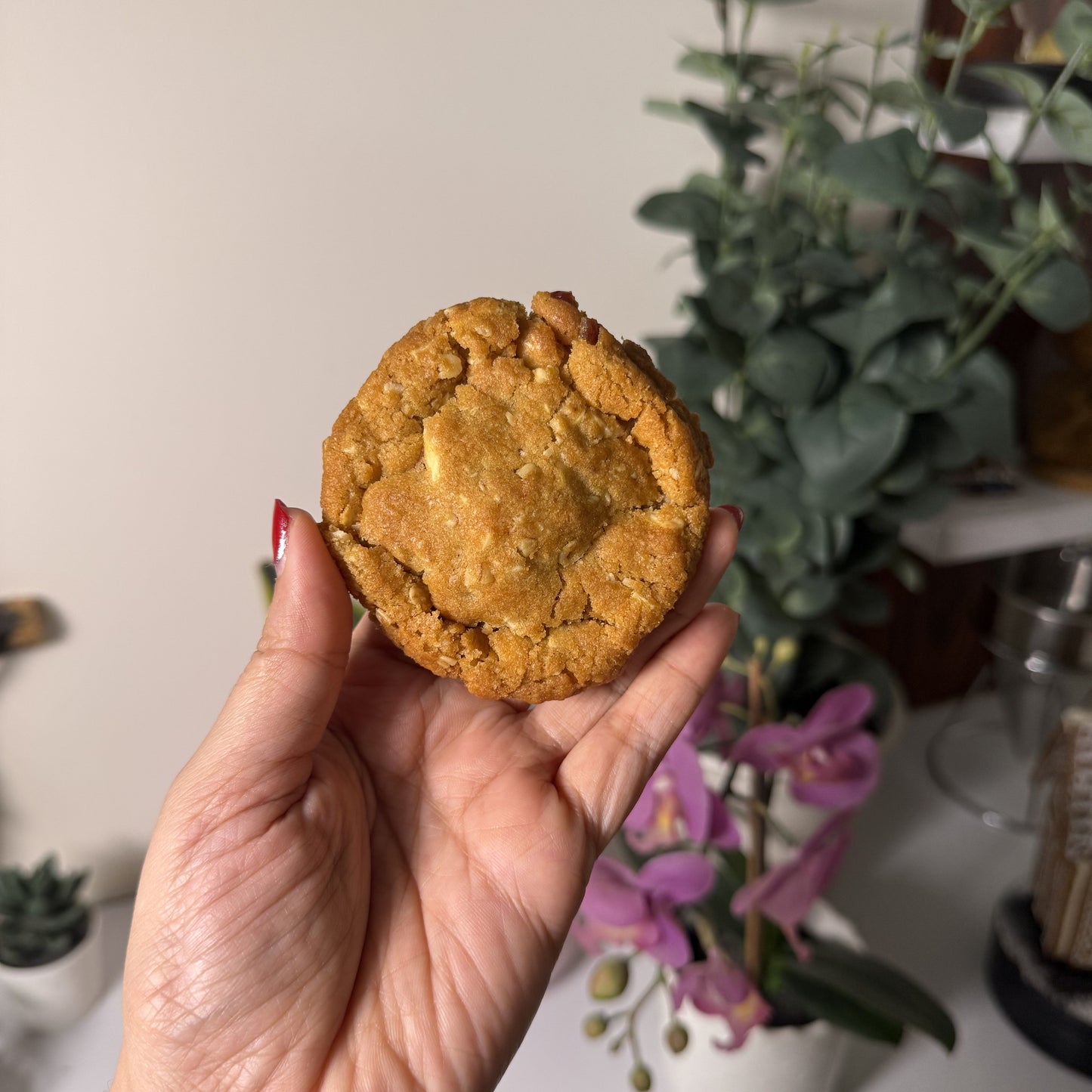 White Chocolate & Cranberry oat cookie - WC Cranberry Oat cookie.jpg