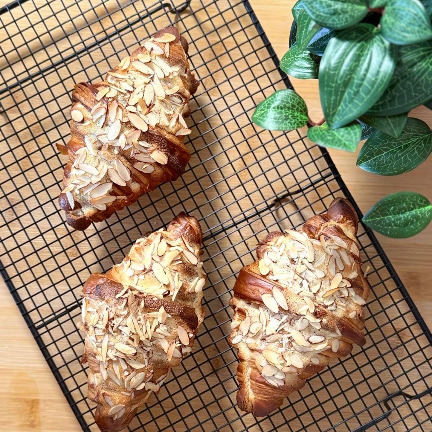 Almond Croissant - WhatsApp Image 2026-01-15 at 11.51.27 AM.jpg
