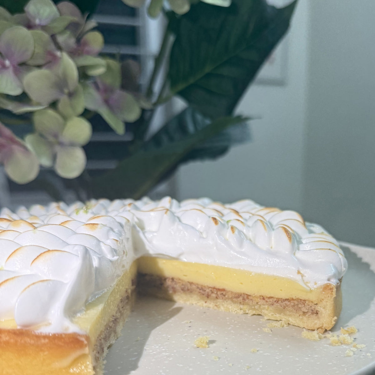Lemon Meringue - selected2.jpg